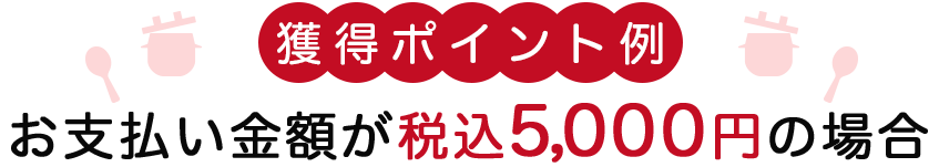獲得ポイント例ーお支払い金額が税込5,000円の場合