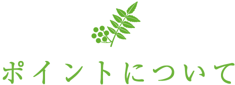 ポイント