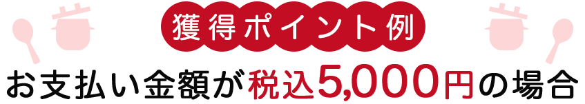 獲得ポイント例ーお支払い金額が税込5,000円の場合