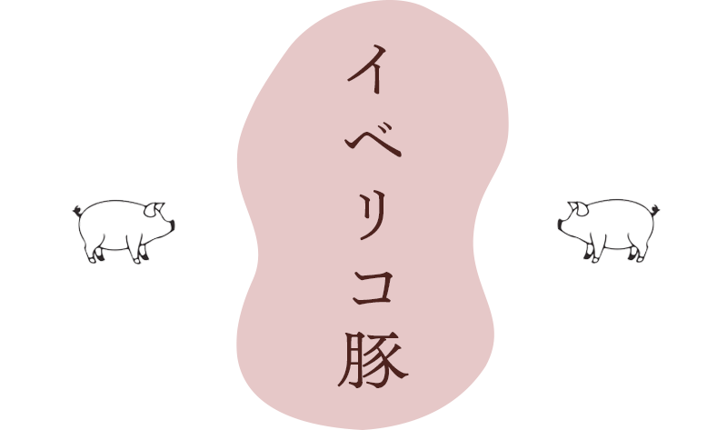 イベリコ豚