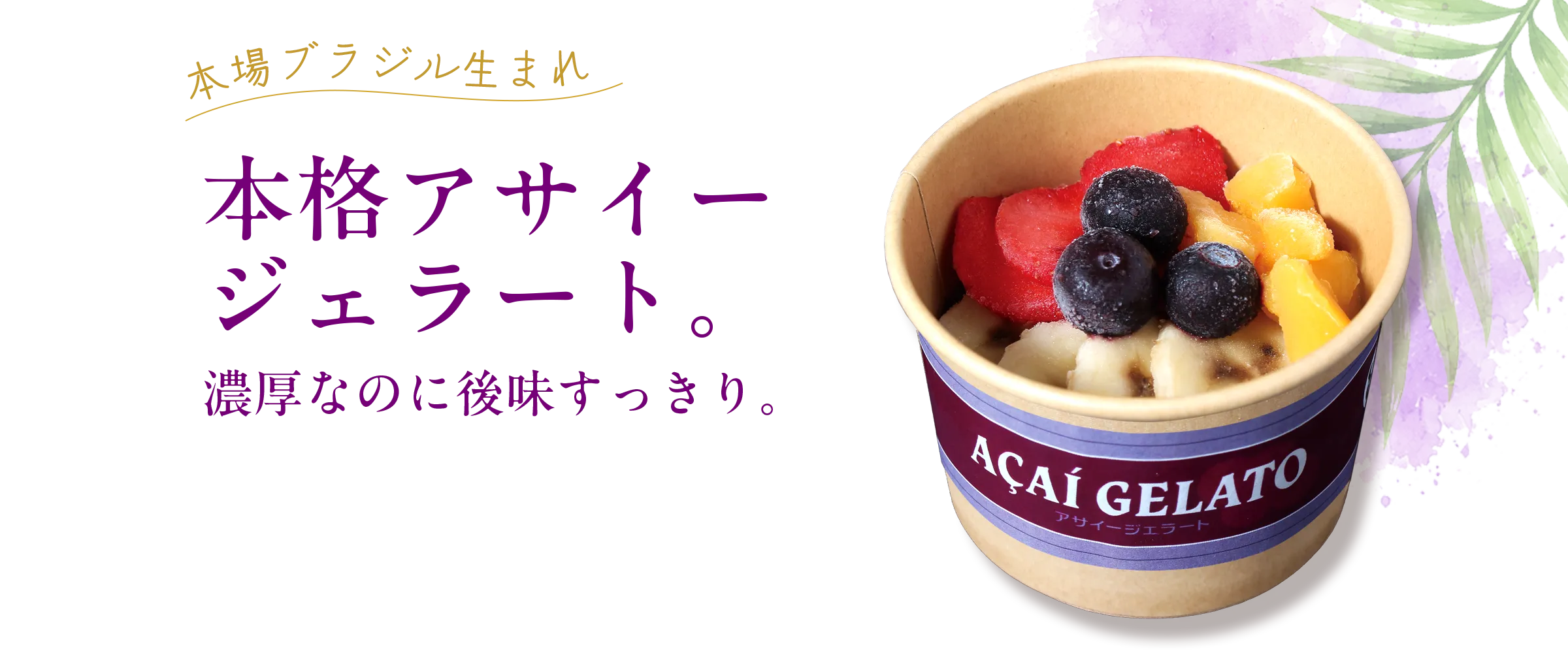 本格アサイージェラート。濃厚なのに後味すっきり。