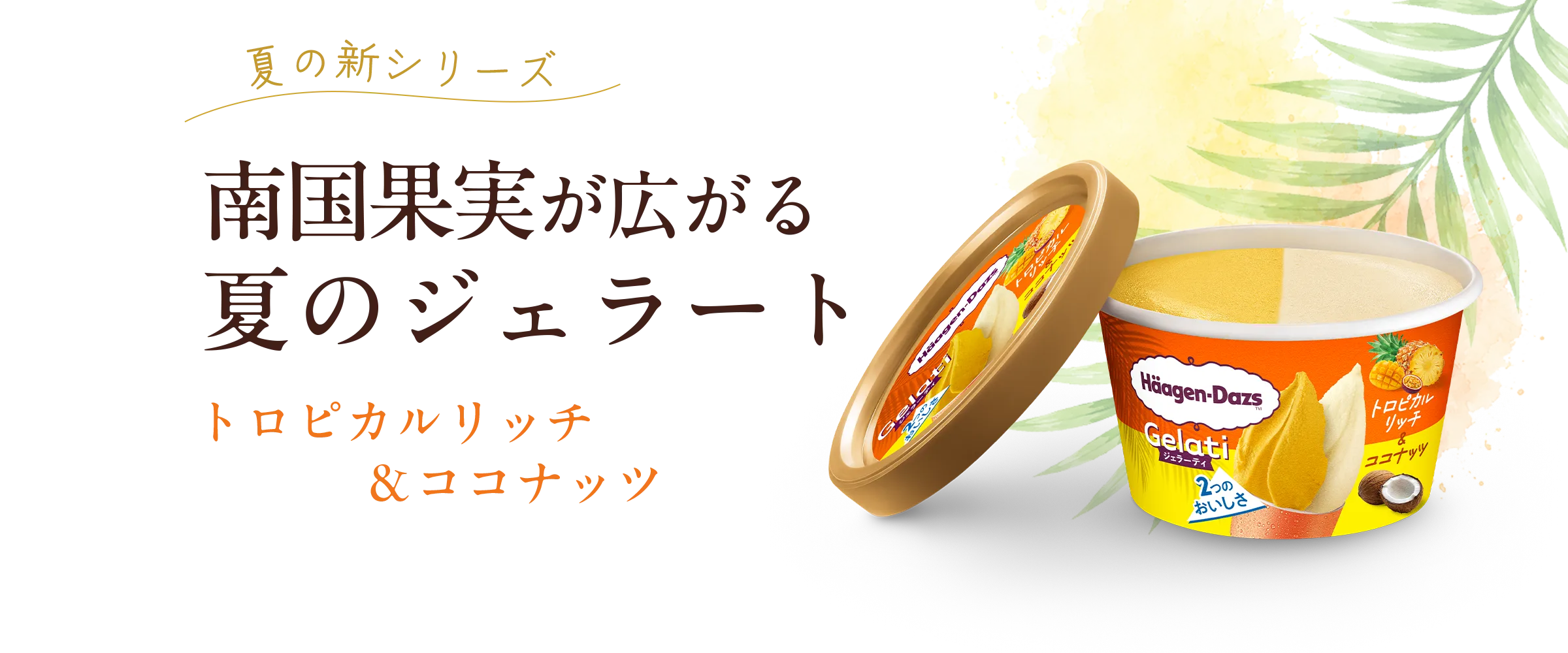 南国果実が広がる夏のジェラート|トロピカルリッチ&ココナッツ