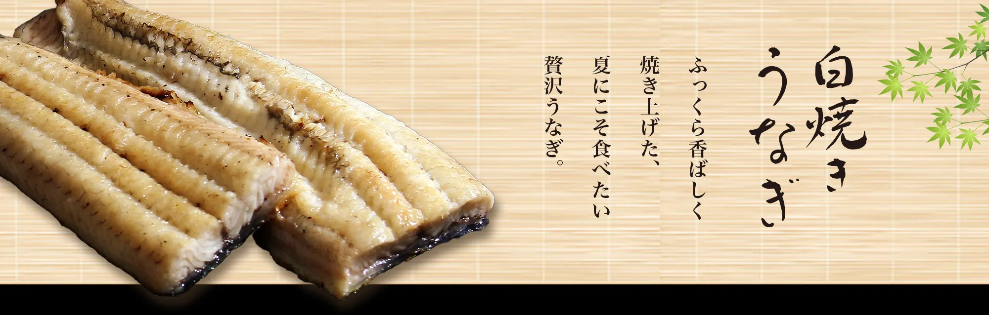 白焼きうなぎ