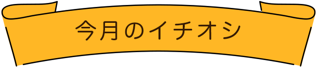 今月のイチオシ